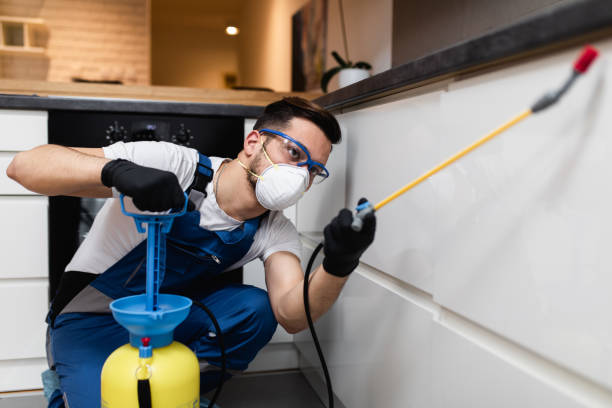  Pinconning, MI Pest Control Pros