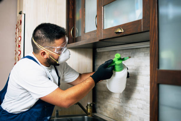 Best Best Pest Control Companies  in Pinconning, MI