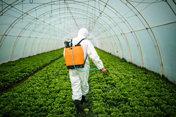 Pest Control Cost in Pinconning, MI