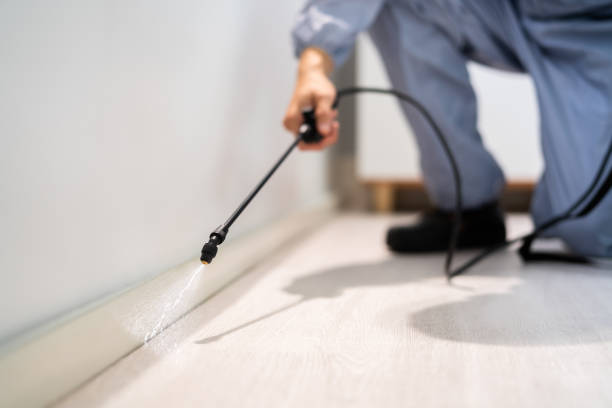 Flea Control Services in Pinconning, MI