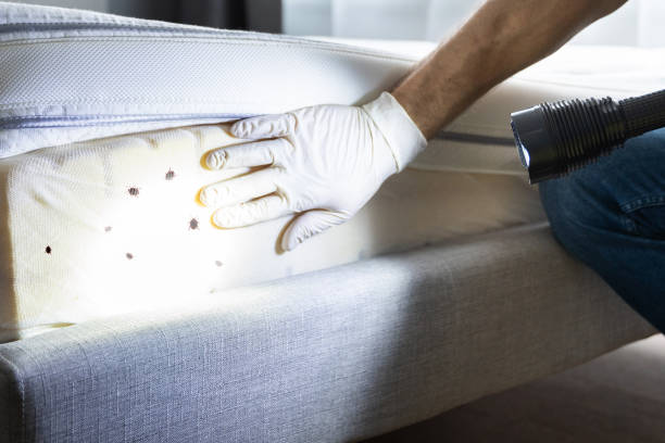 Best Affordable Pest Control Services  in Pinconning, MI